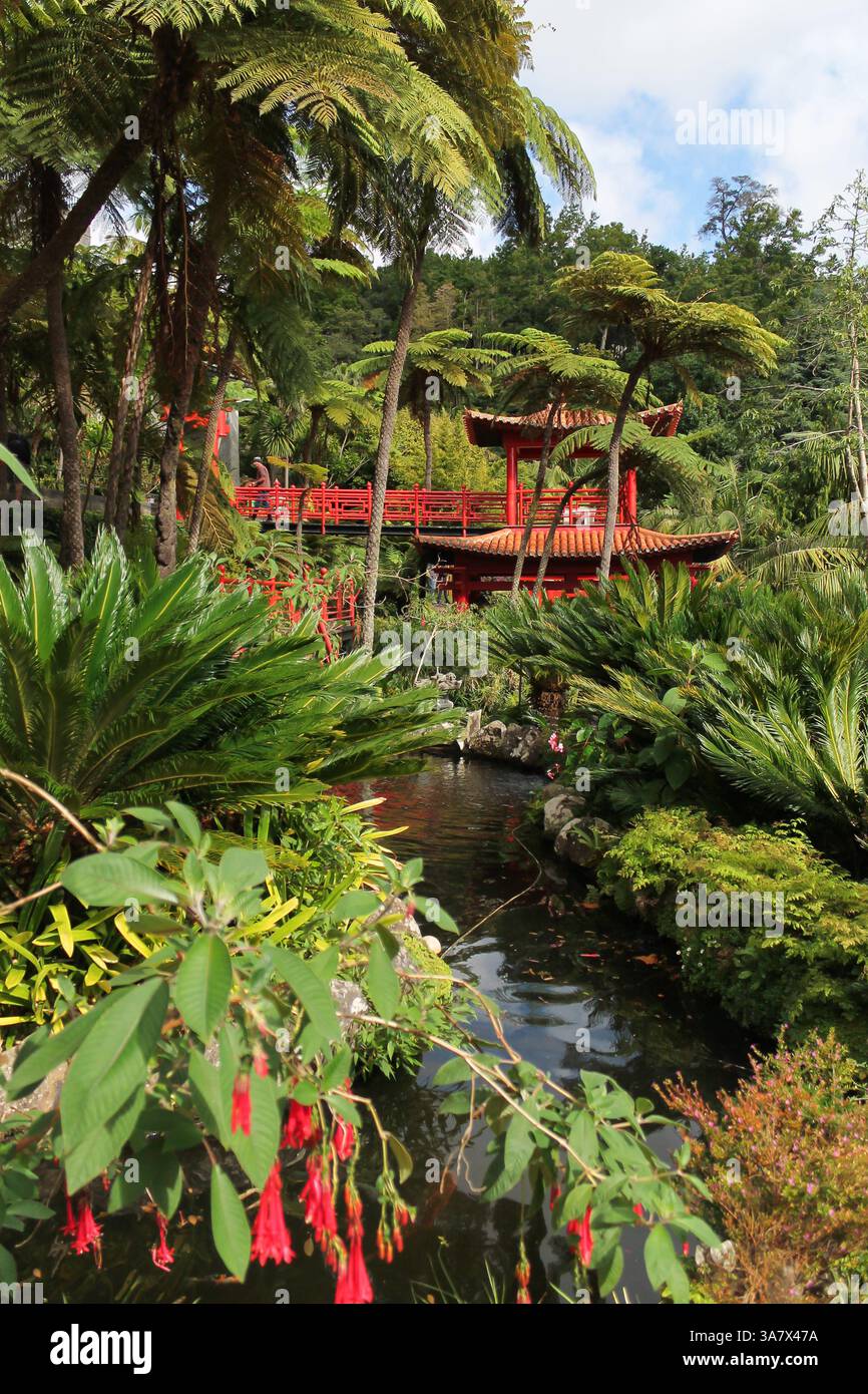 Journée ensoleillée au jardin tropical Monte Palace à Funchal, Madère, avec une végétation d'étang dynamique et une pagode rouge. Banque D'Images Journée ensoleillée au jardin tropical Monte Palace à Funchal, Madère, avec une végétation d'étang dynamique et une pagode rouge. Banque D'Images