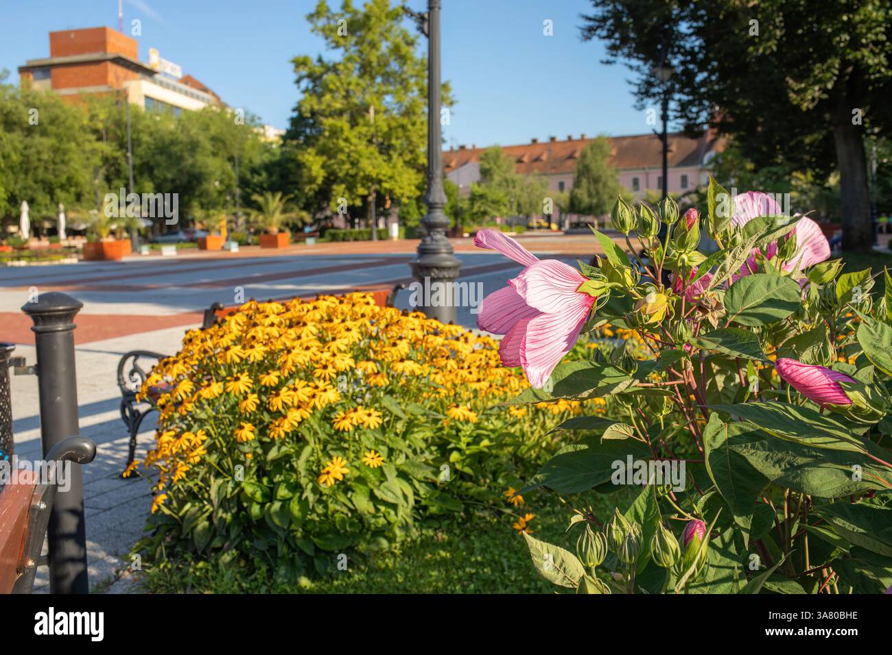 Nagykanisza, Hongrie - 3 août 2023 : place Erzsebet dans le centre-ville Banque D'Images