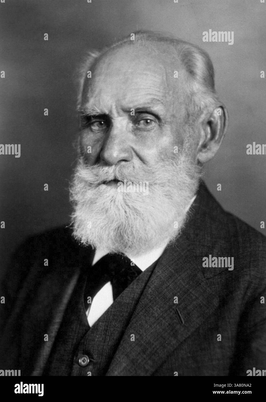 1930 c, RUSSIE : le professeur russe docteur IVAN Petrovich PAVLOV ( 1849 - 1936 ), neurologue et physiologiste . Son nom est lié à la découverte du réflexe conditionné chez le chien, qu’il annonce en 1903. Lauréat du Prix Nobel de physiologie ou médecine 1904. Photographe inconnu . - PREMIO NOBEL per la MEDICINA e FISIOLOGIA - FISIOLOGO - NEUROLOGIA - NEUROLOGO - MEDICINE - SCIENZA - SCIENZIATO - MEDICO - scientifique - portrait - ritratto - scientifique - SCIENCE - laboratorio - laboratoire - uomo anziano vecchio - homme plus âgé - barbe - barba - HISTOIRE - FOTO STORICHE -- Archivio GBB Banque D'Images