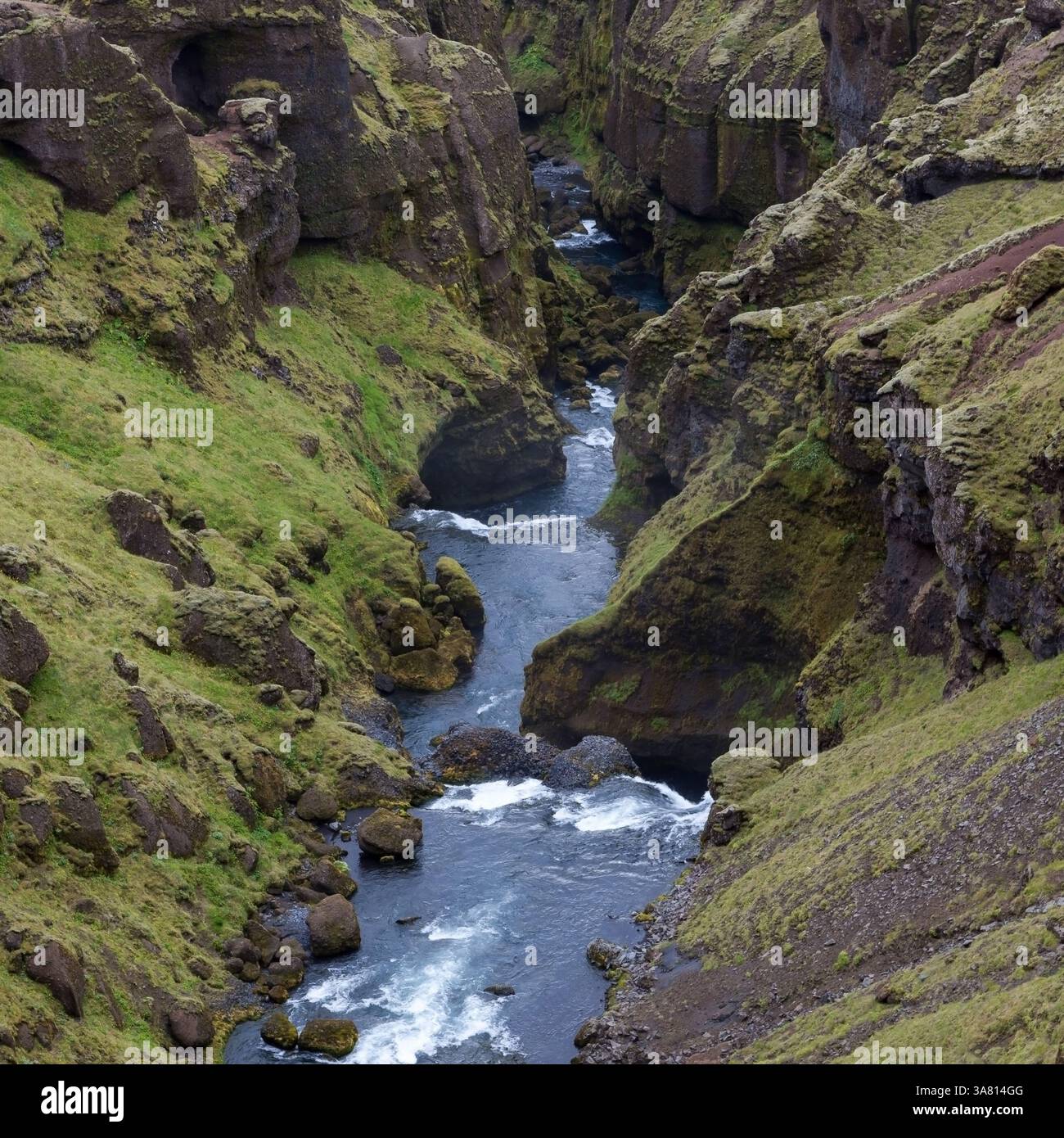Canyon profond de la rivière Skogar avec une végétation verte. Au sud de l'Islande près de Thorsmork entre les glaciers de Tindfjallajokull et Eyjafjallajokull. Banque D'Images