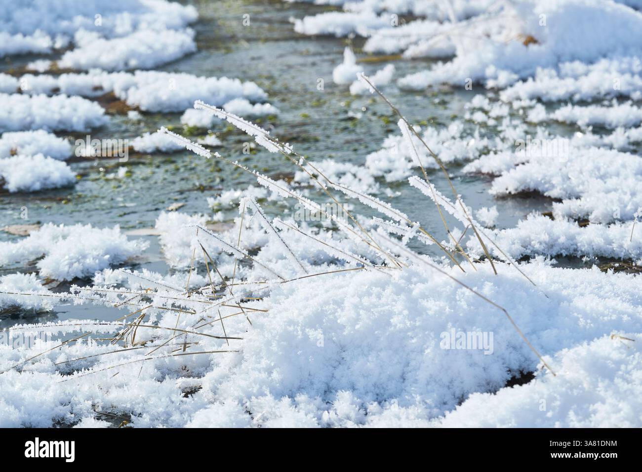 Roche gelée avec cristaux de glace Banque D'Images