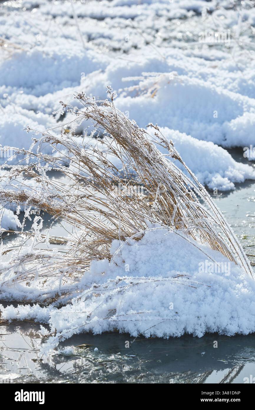 Roche gelée avec cristaux de glace Banque D'Images