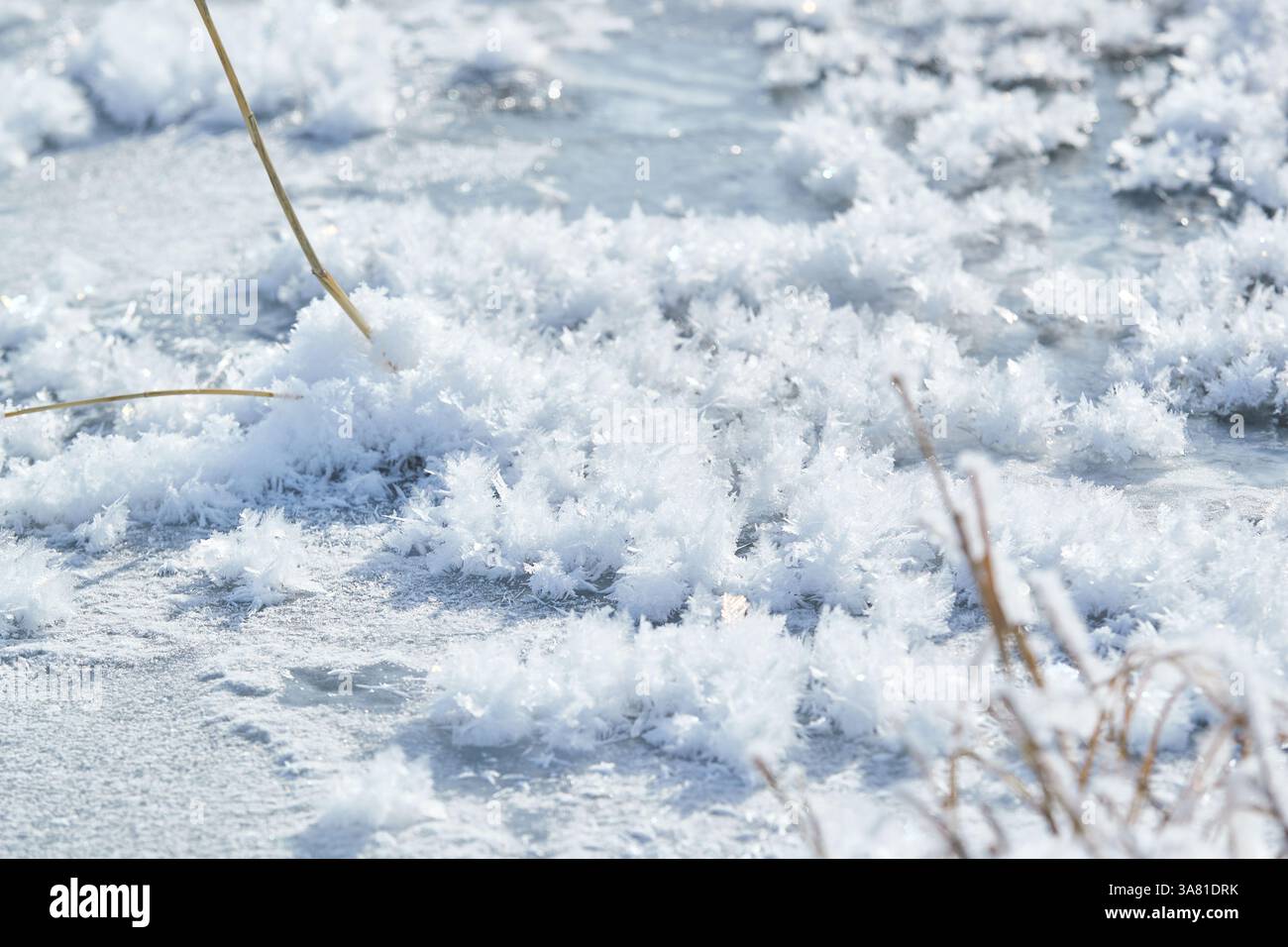 Roche gelée avec cristaux de glace Banque D'Images