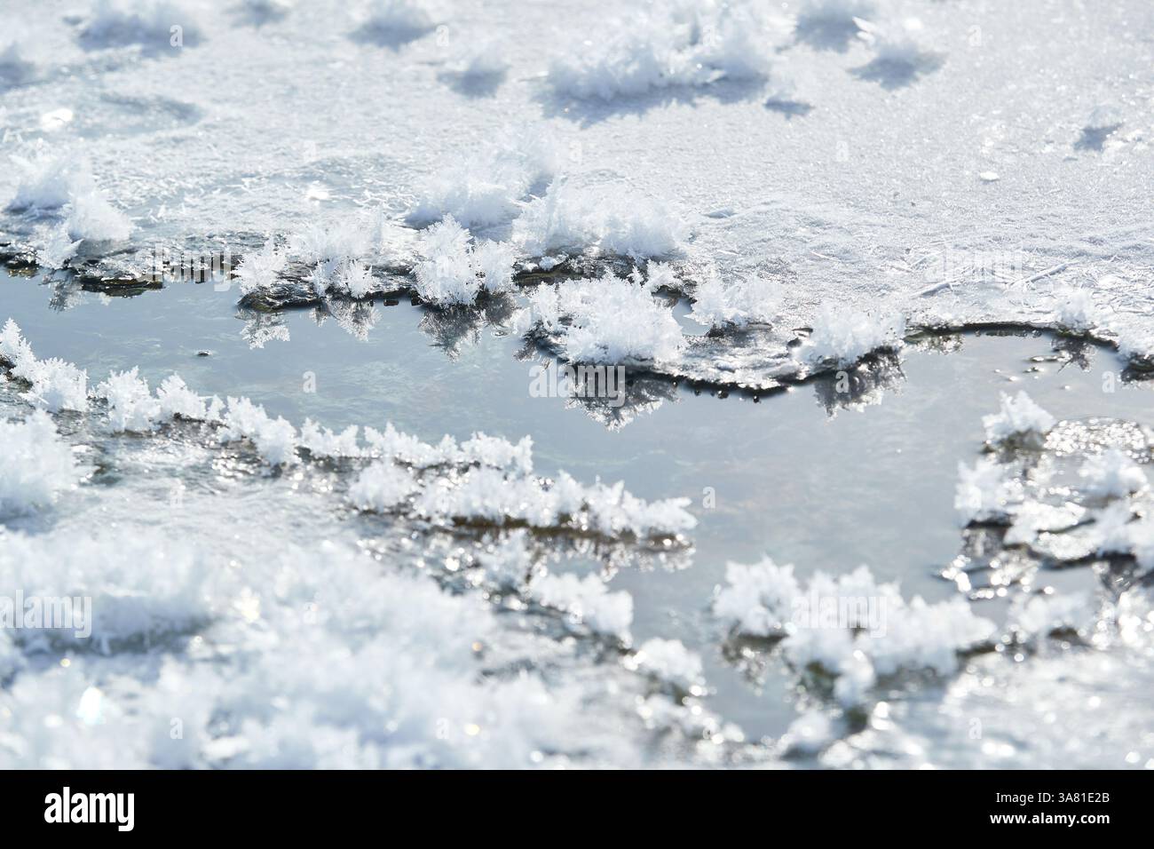 Roche gelée avec cristaux de glace Banque D'Images