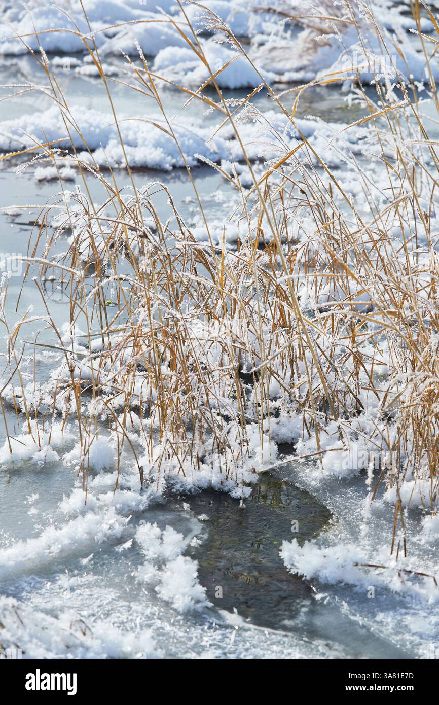 Roche gelée avec cristaux de glace Banque D'Images