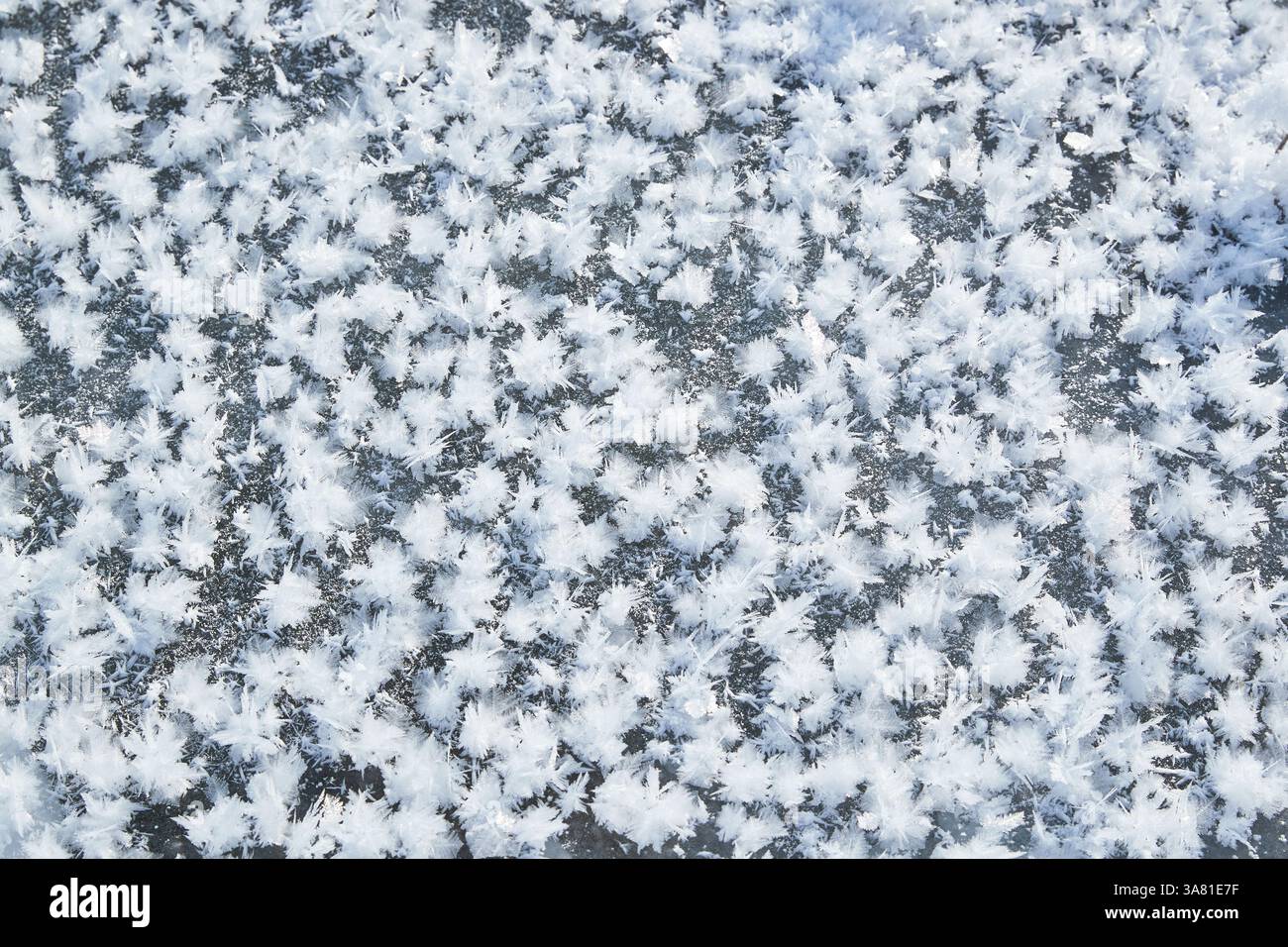 Roche gelée avec cristaux de glace Banque D'Images