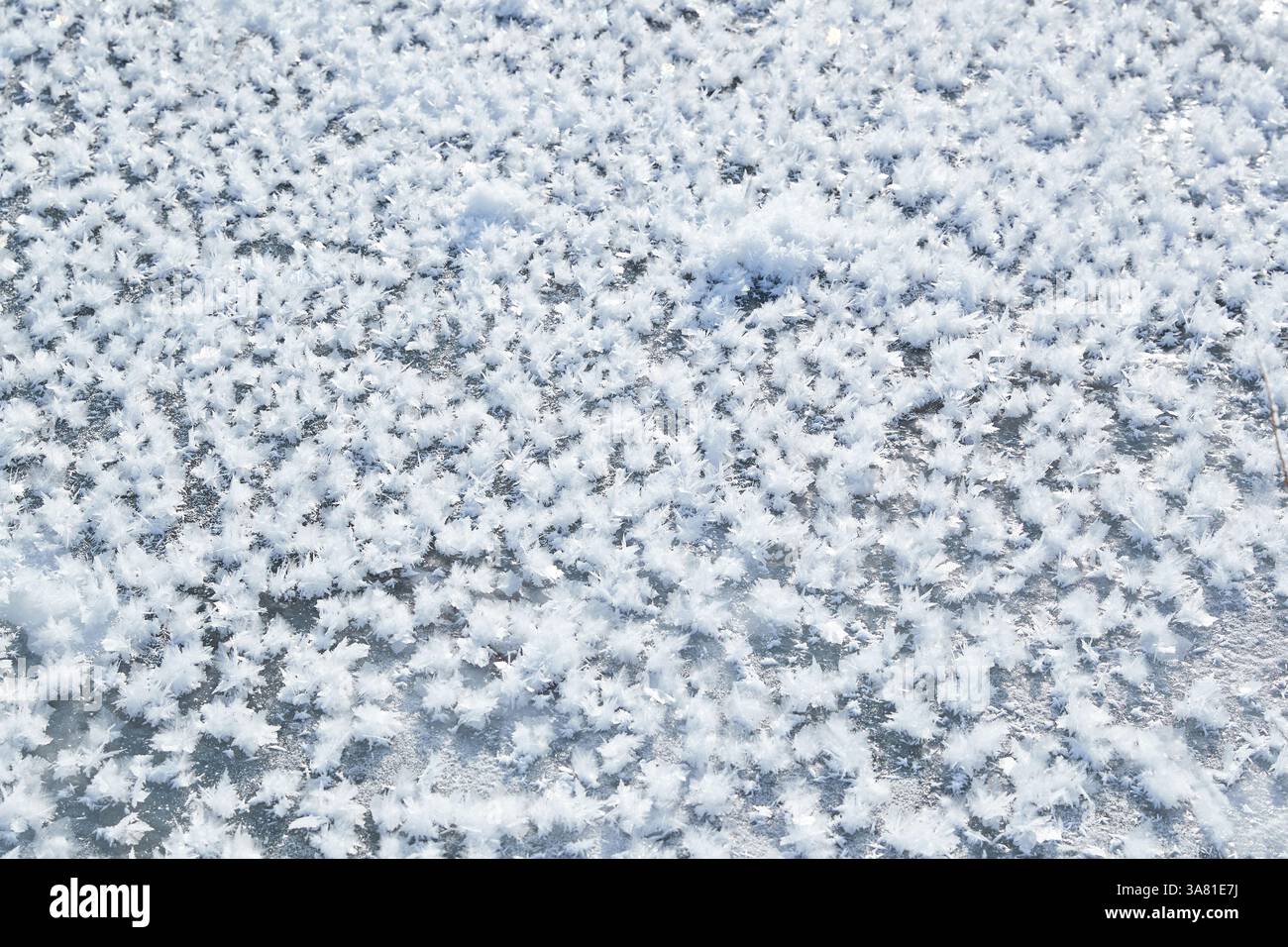 Roche gelée avec cristaux de glace Banque D'Images