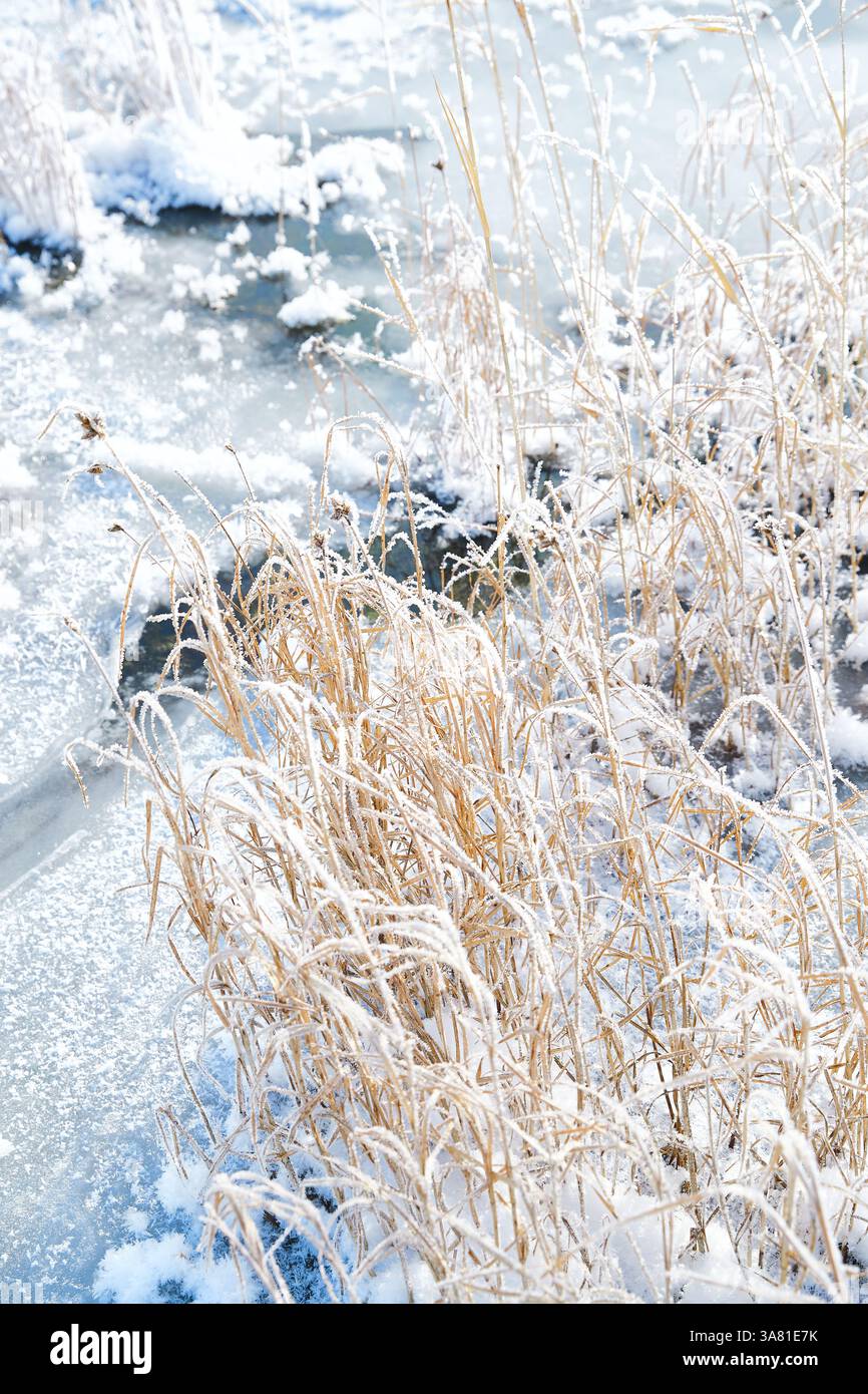 Roche gelée avec cristaux de glace Banque D'Images