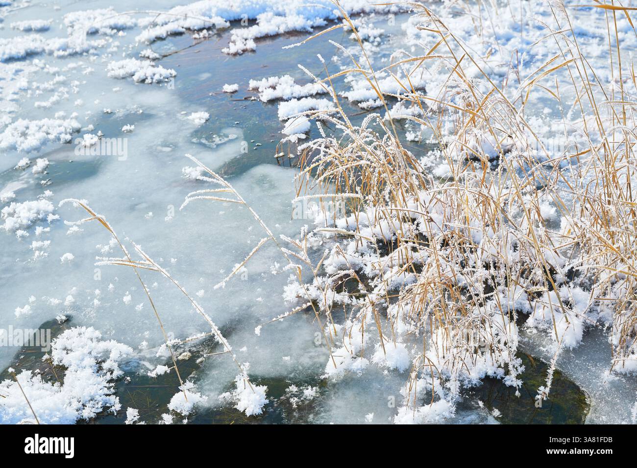 Roche gelée avec cristaux de glace Banque D'Images