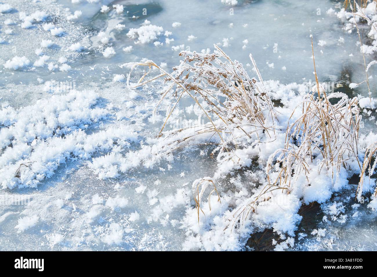 Roche gelée avec cristaux de glace Banque D'Images