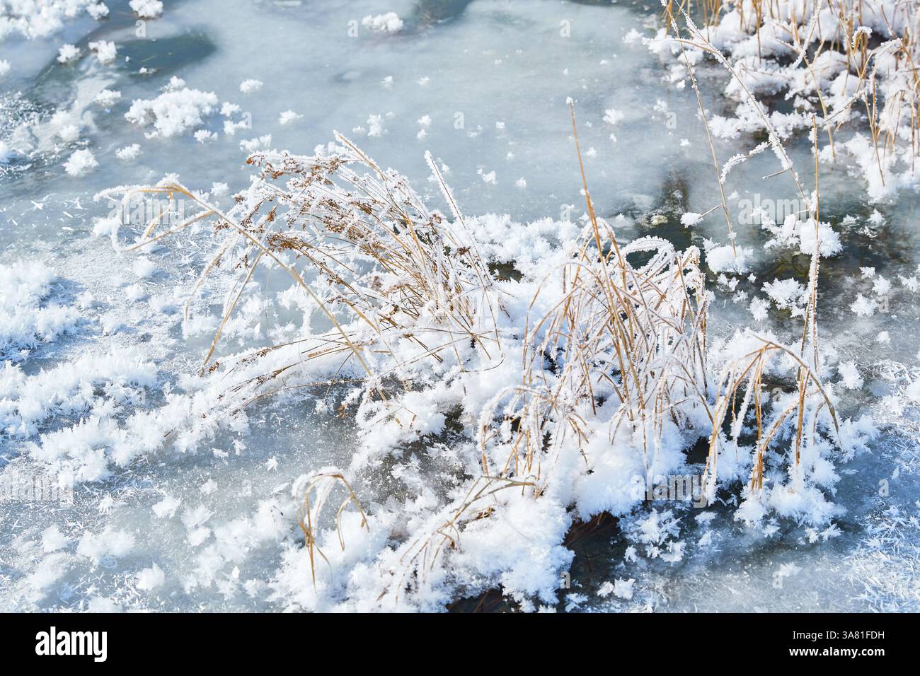 Roche gelée avec cristaux de glace Banque D'Images
