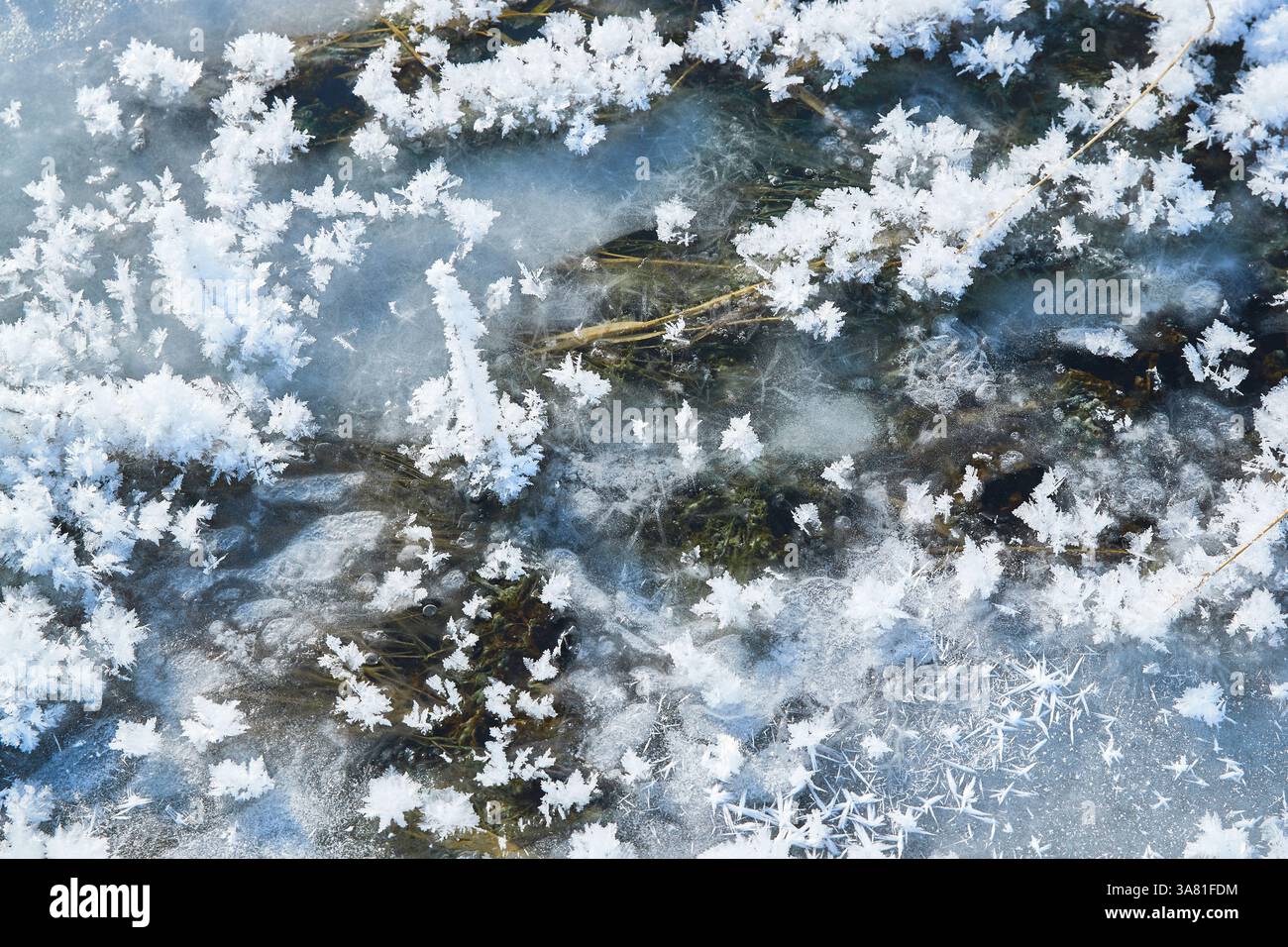 Roche gelée avec cristaux de glace Banque D'Images