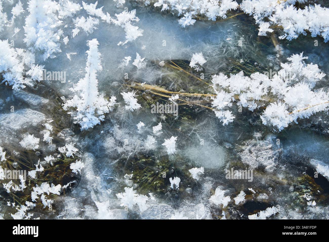Roche gelée avec cristaux de glace Banque D'Images