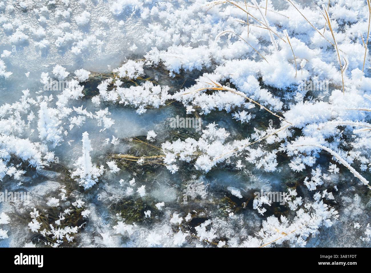 Roche gelée avec cristaux de glace Banque D'Images