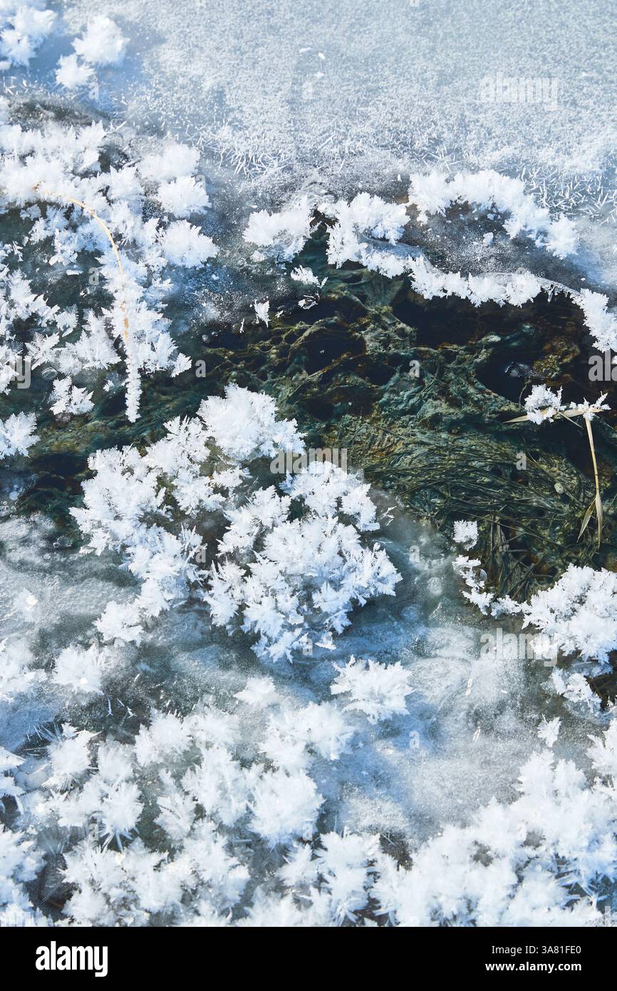 Roche gelée avec cristaux de glace Banque D'Images