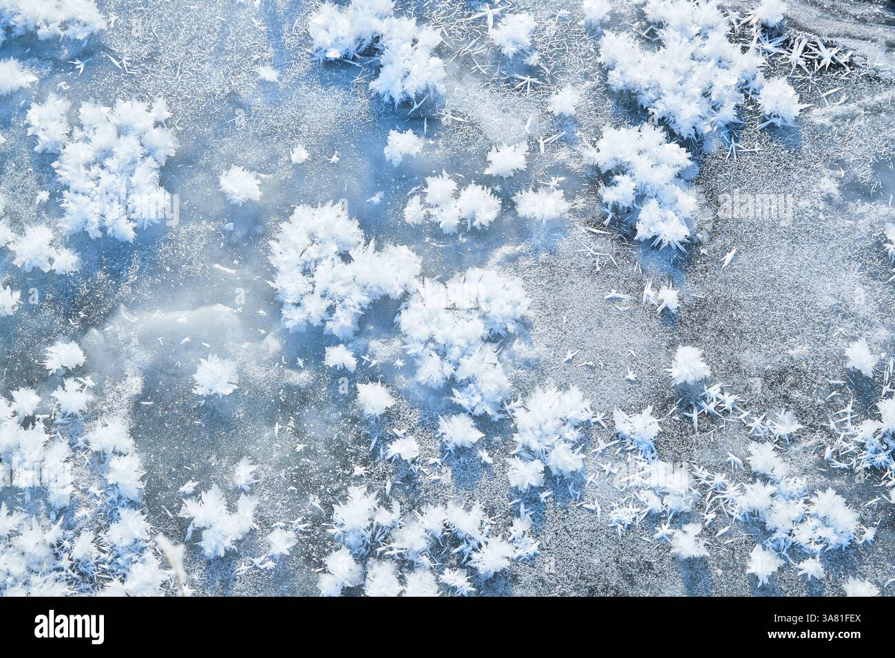 Roche gelée avec cristaux de glace Banque D'Images