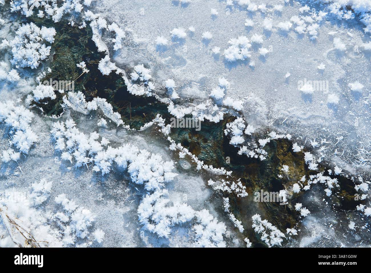 Roche gelée avec cristaux de glace Banque D'Images