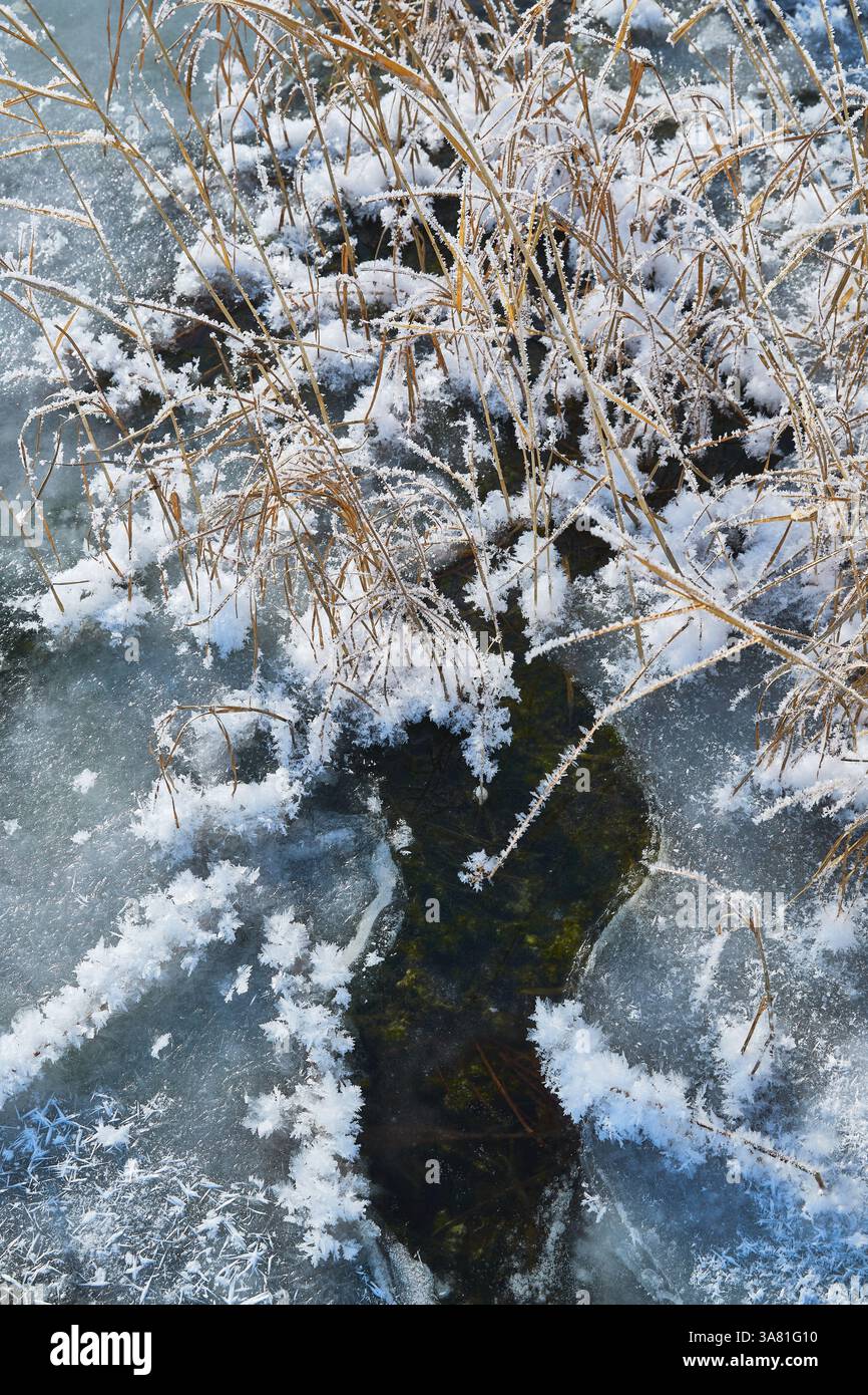 Roche gelée avec cristaux de glace Banque D'Images