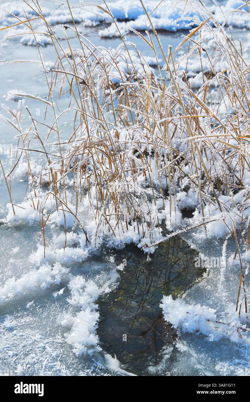 Roche gelée avec cristaux de glace Banque D'Images