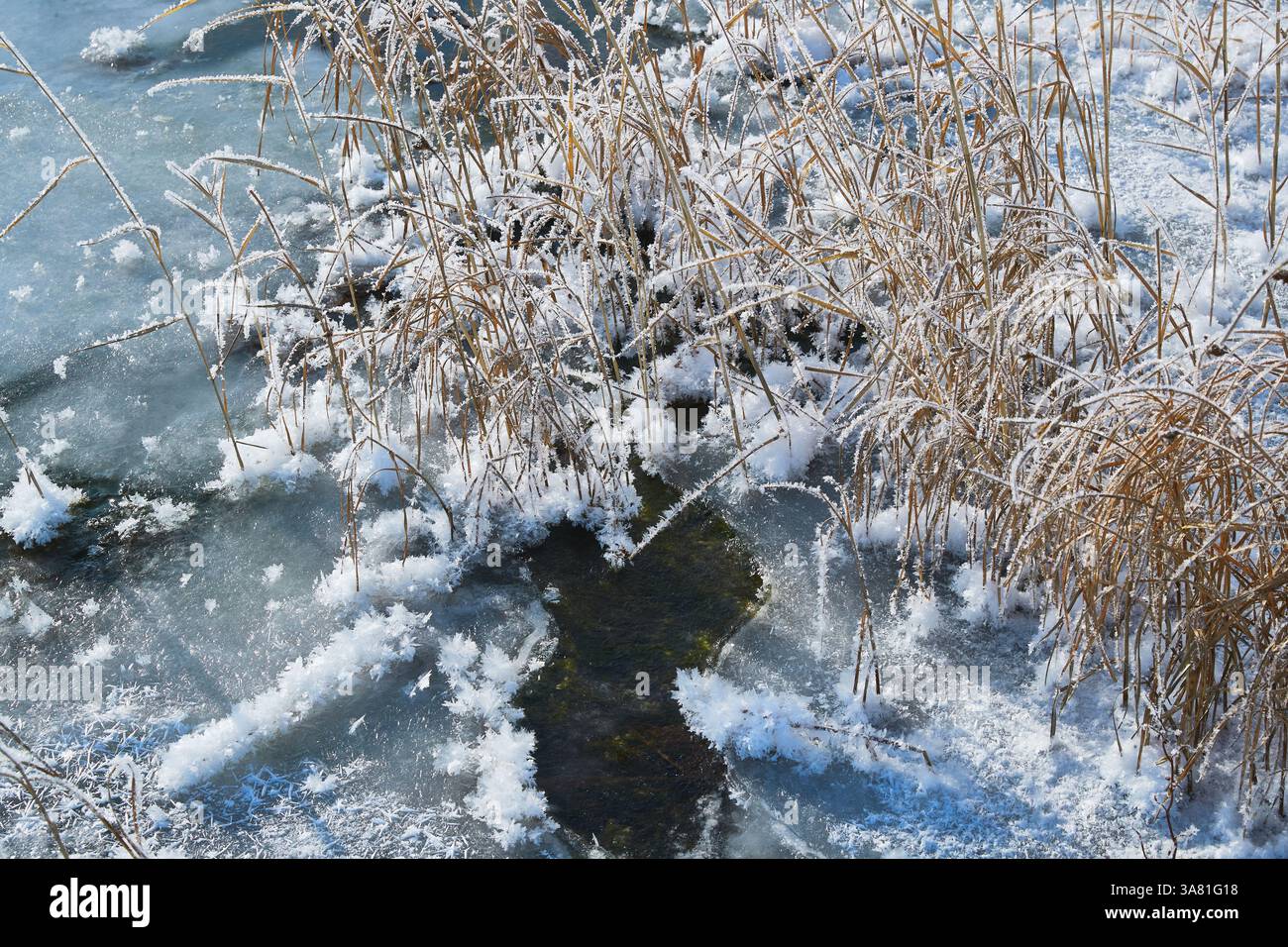 Roche gelée avec cristaux de glace Banque D'Images