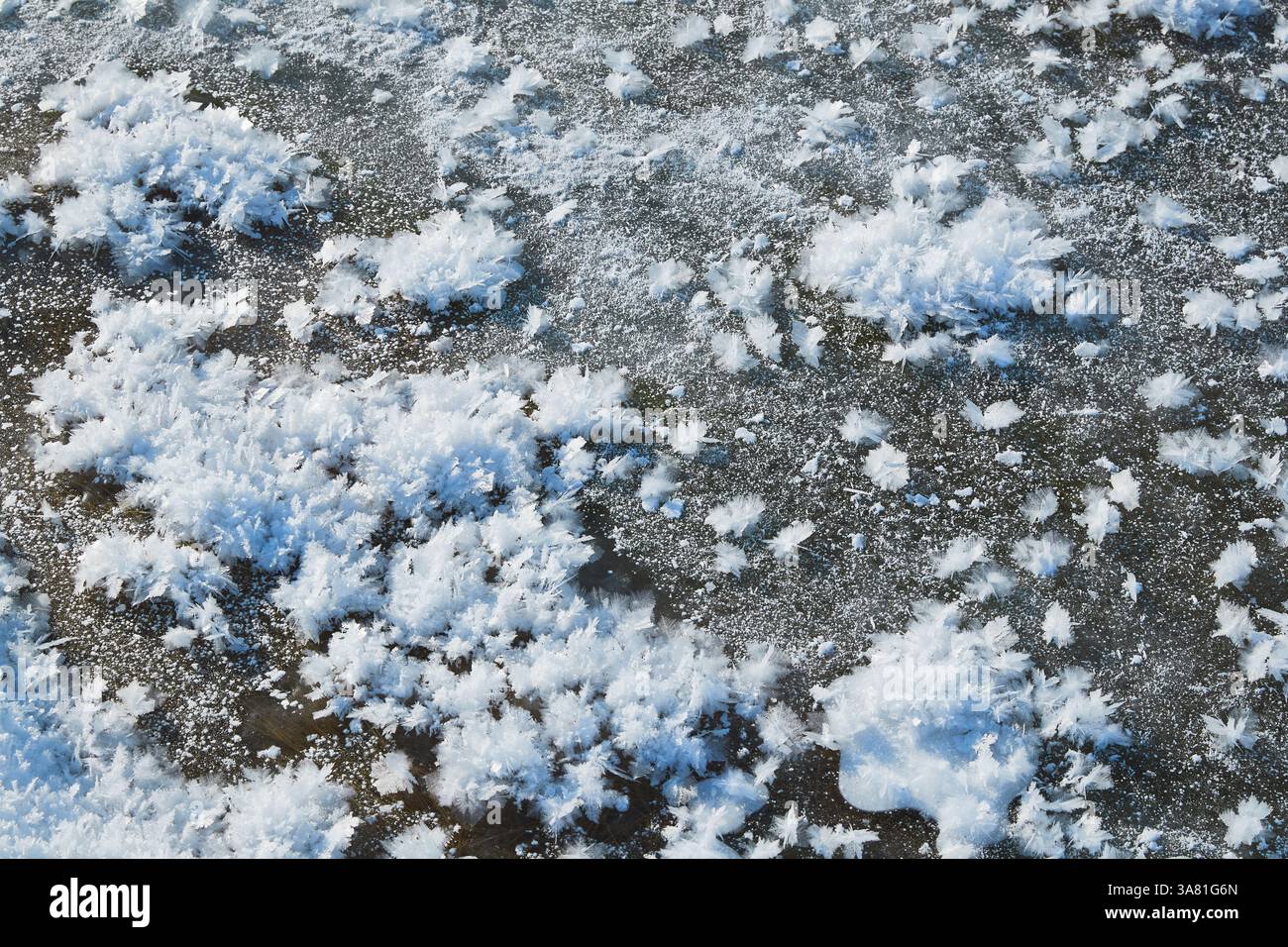 Roche gelée avec cristaux de glace Banque D'Images