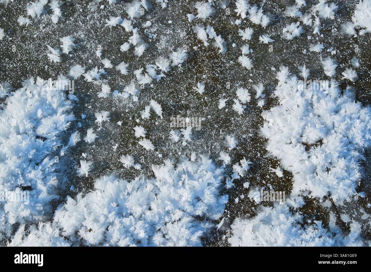 Roche gelée avec cristaux de glace Banque D'Images