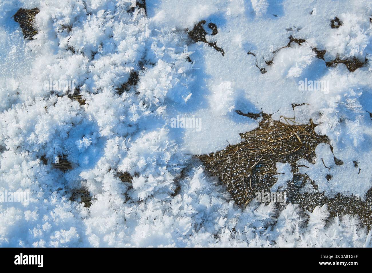 Roche gelée avec cristaux de glace Banque D'Images