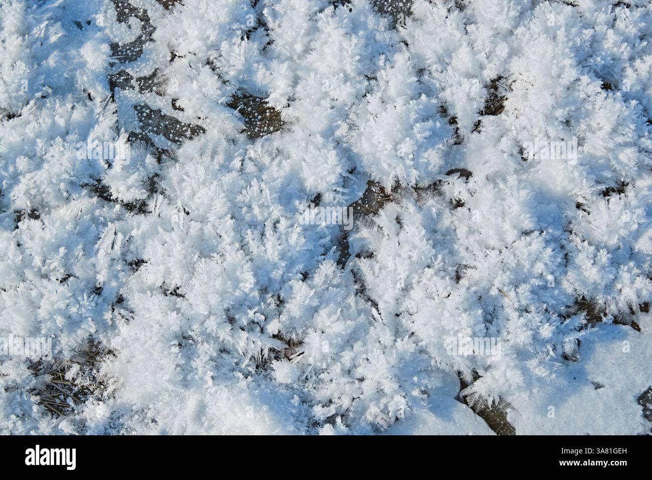 Roche gelée avec cristaux de glace Banque D'Images