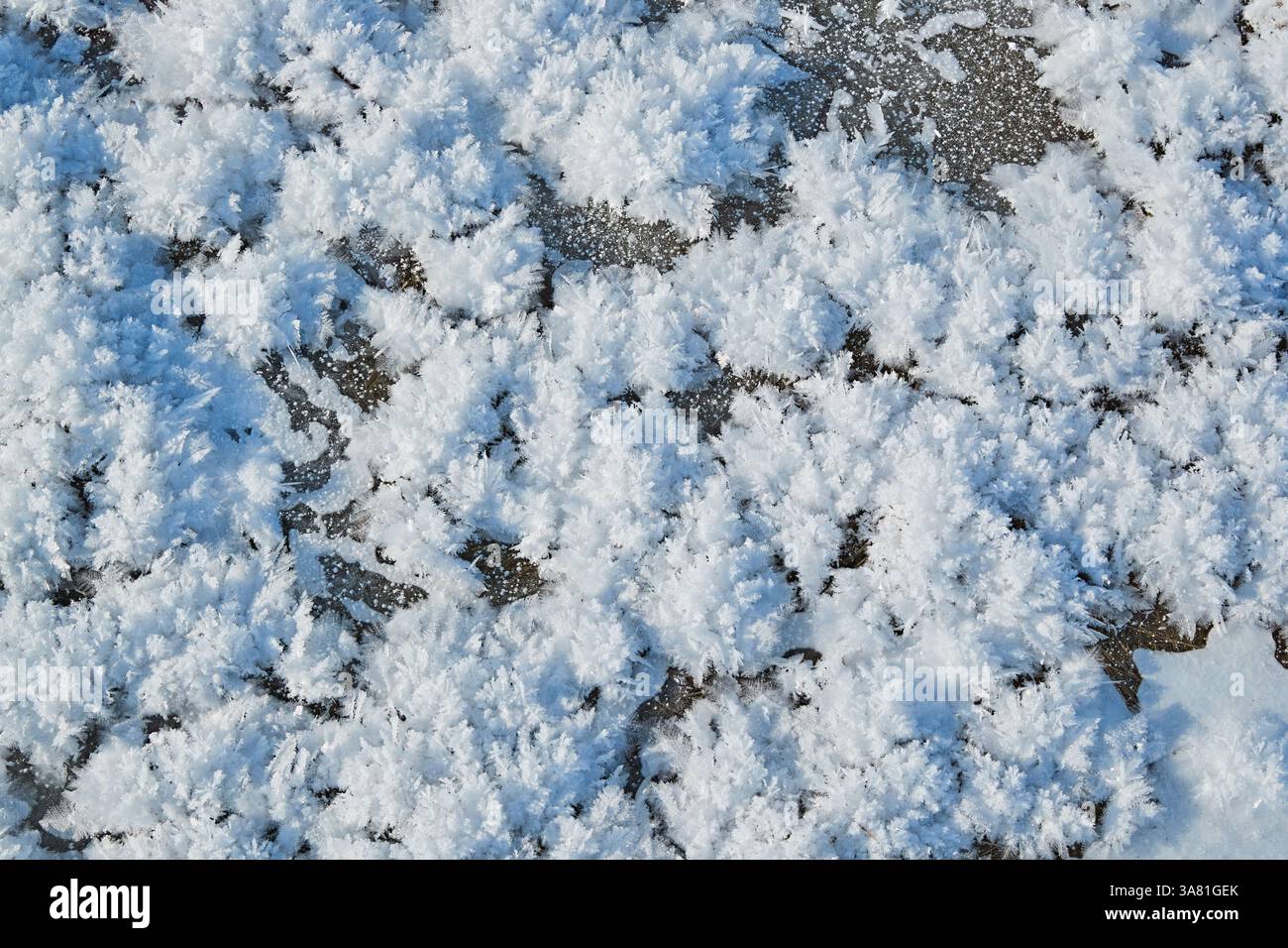 Roche gelée avec cristaux de glace Banque D'Images