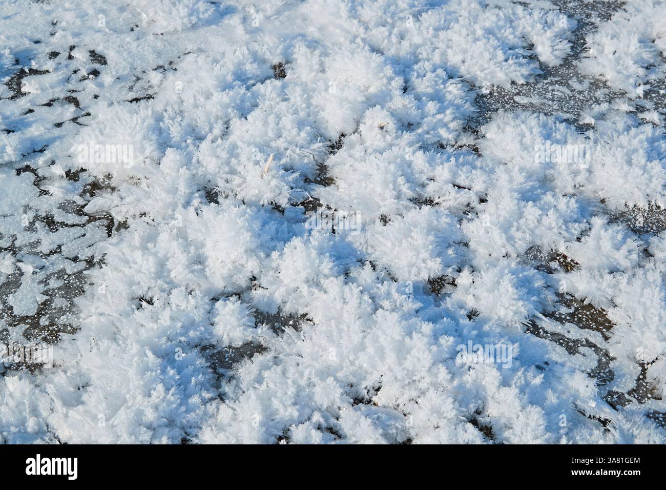 Roche gelée avec cristaux de glace Banque D'Images
