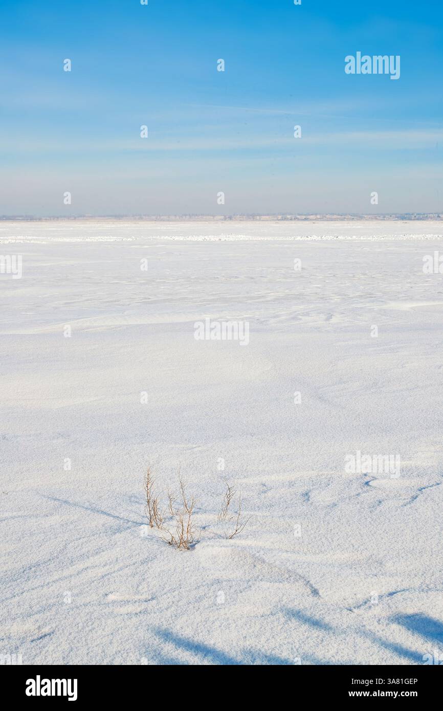Vaste paysage enneigé sous ciel bleu Banque D'Images