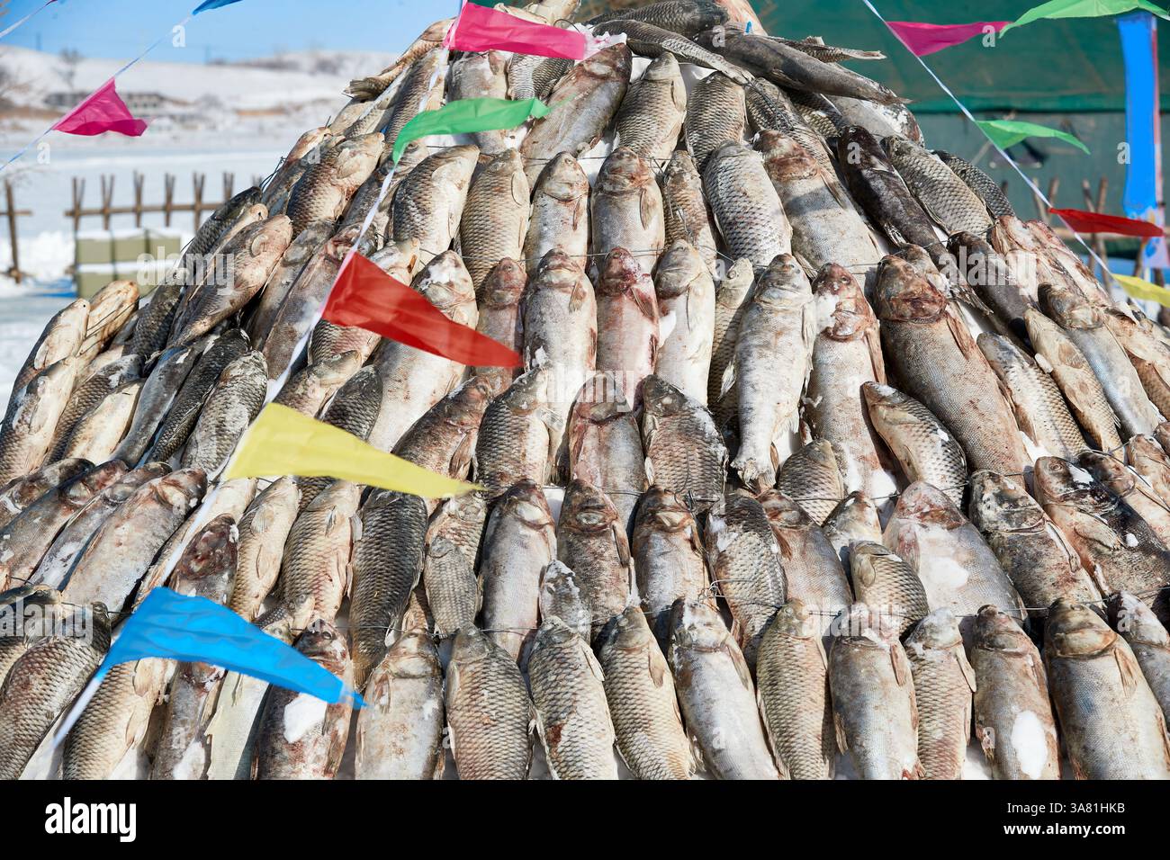 Pyramide de poisson sur la neige avec drapeaux colorés Banque D'Images