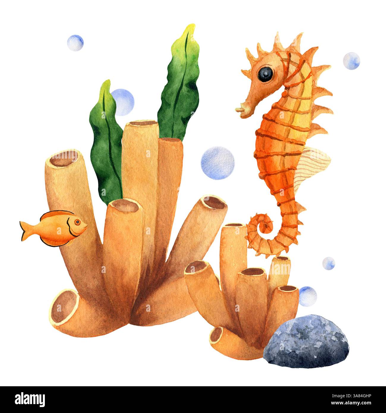Hippocampe avec coraux, algues et pierres. Illustration d'aquarelle dessinée à la main. Pour la décoration et la conception d'imprimés d'été et de plage, autocollants, carte, pos Banque D'Images
