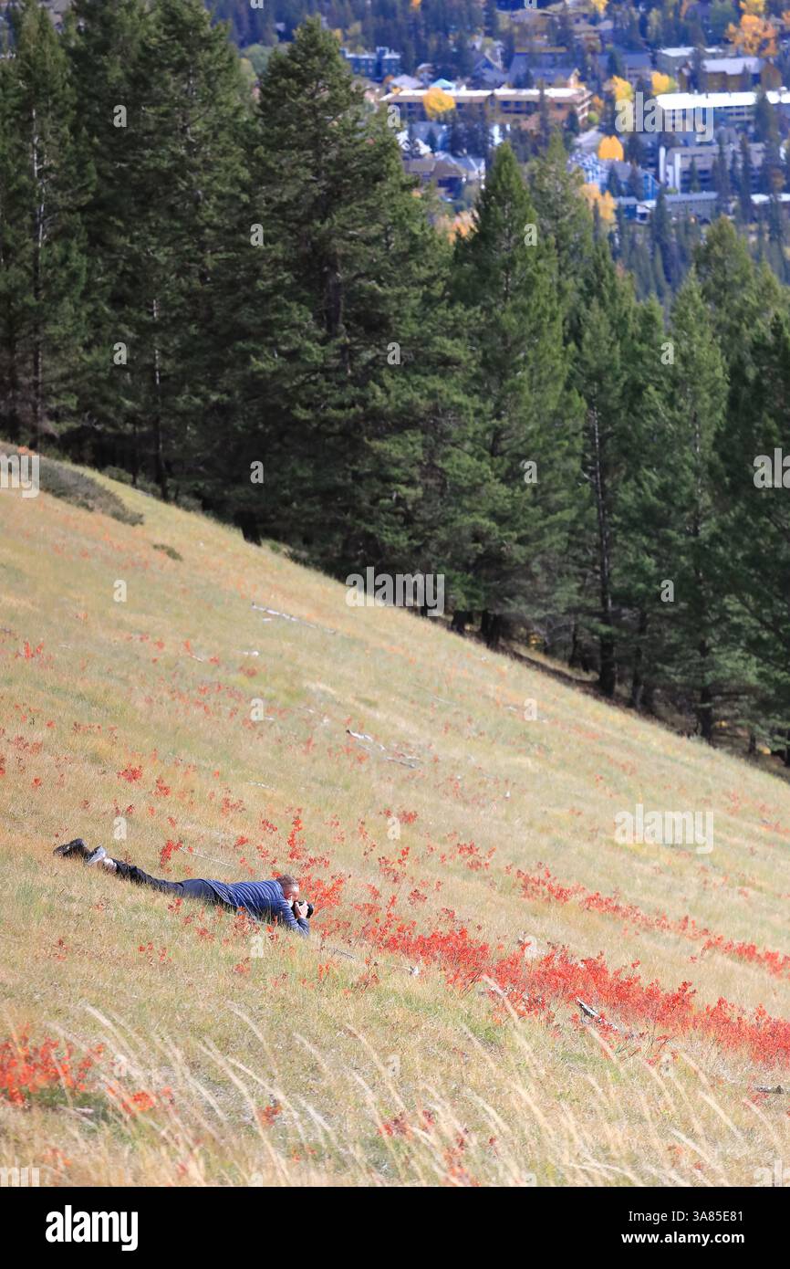077 photographe de paysage allongé sur le sol pour obtenir le meilleur cadre (composition avec des arbustes rouges), belvédère du Mont Norquay. Banff-Alberta-Canada. Banque D'Images