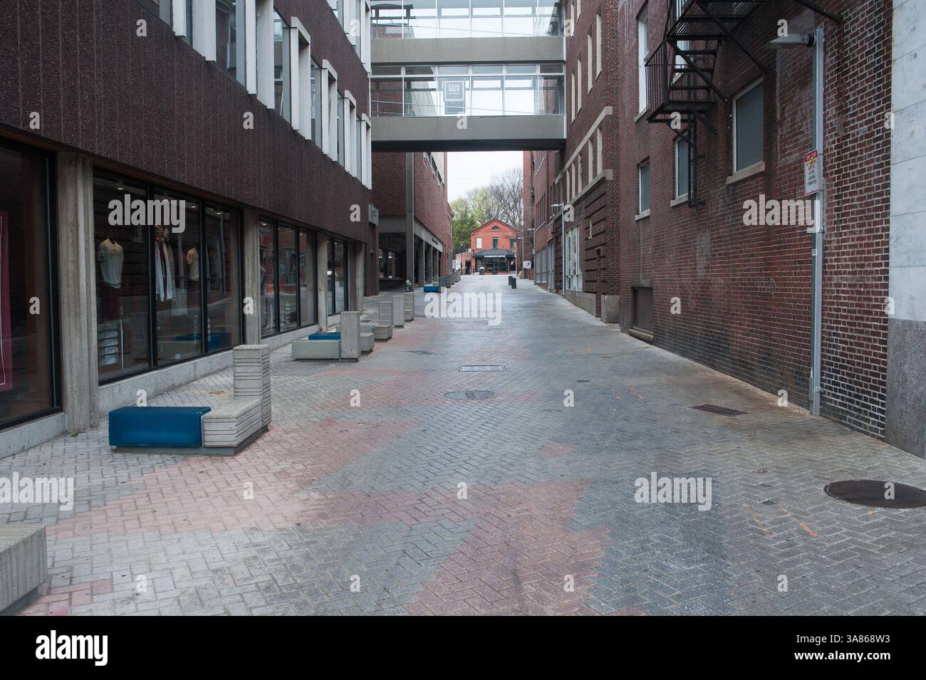 19 avril 2013 - Cambridge, Massachusetts, États-Unis - Harvard Square à Cambridge est vide de circulation et de vie pendant l'heure de pointe vendredi soir. Alors que la chasse à l'homme pour l'un des bombardiers du Marathon de Boston se poursuit, une grande partie de la région de Boston a été placée en confinement. (Crédit image : © Jeremiah Robinson/ZUMAPRESS.com) Banque D'Images