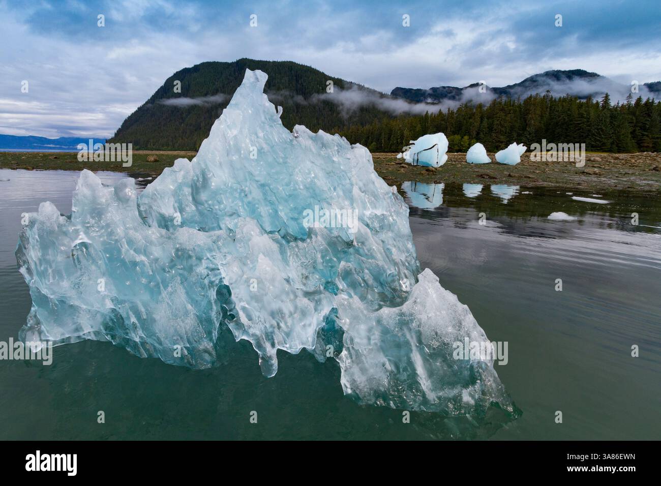 Détail de l'iceberg glaciaire provenant de la glace vêlée au large du glacier LeConte près de Petersberg, dans le sud-est de l'Alaska, aux États-Unis d'Amérique Banque D'Images Détail de l'iceberg glaciaire provenant de la glace vêlée au large du glacier LeConte près de Petersberg, dans le sud-est de l'Alaska, aux États-Unis d'Amérique Banque D'Images