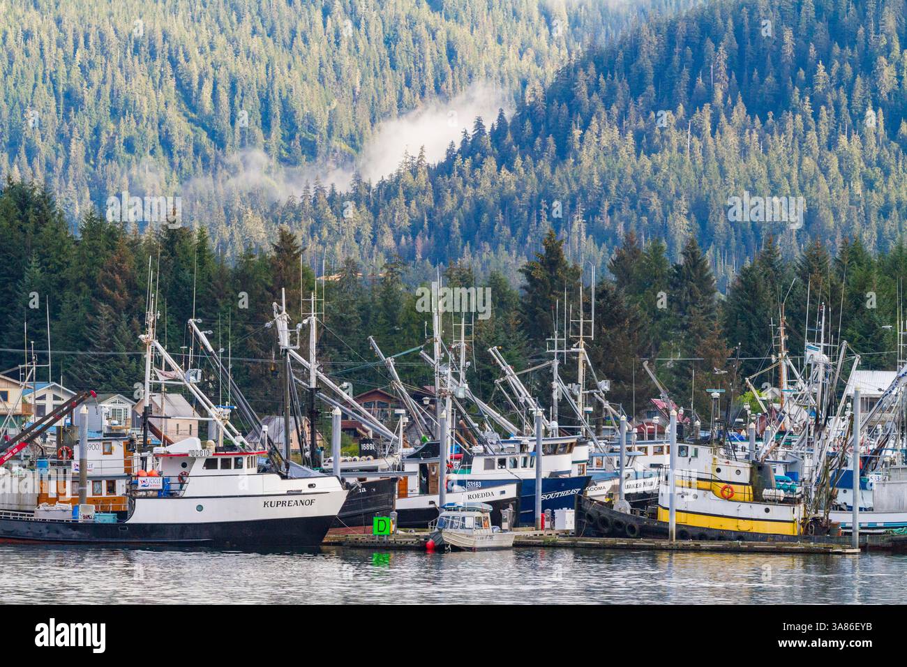 Vue de la ville de pêcheurs de Petersburg, sud-est de l'Alaska, États-Unis d'Amérique Banque D'Images Vue de la ville de pêcheurs de Petersburg, sud-est de l'Alaska, États-Unis d'Amérique Banque D'Images