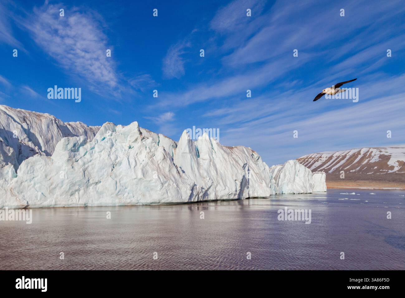 Une vue du glacier des eaux de marée à Isbukta (baie de glace) sur le côté ouest de l'île Spitzberg, archipel du Svalbard, Norvège Banque D'Images