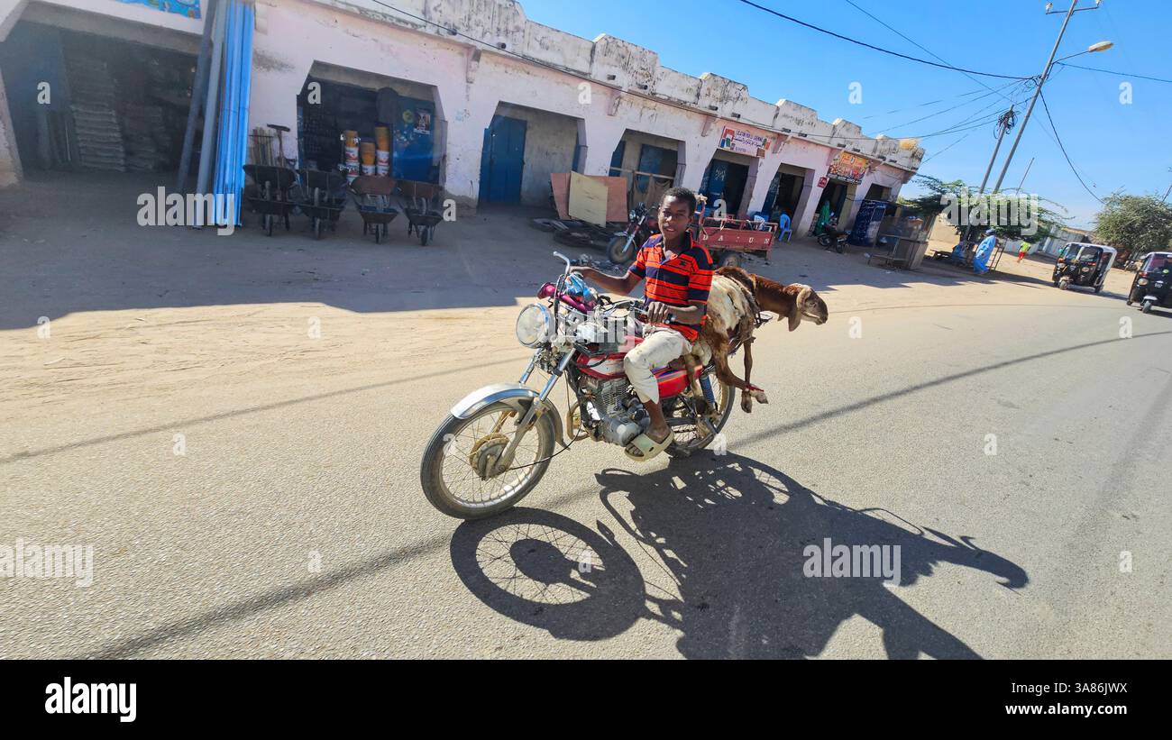 Garçon chevauchant avec une chèvre à l'arrière de sa moto, Abéché, Tchad Banque D'Images