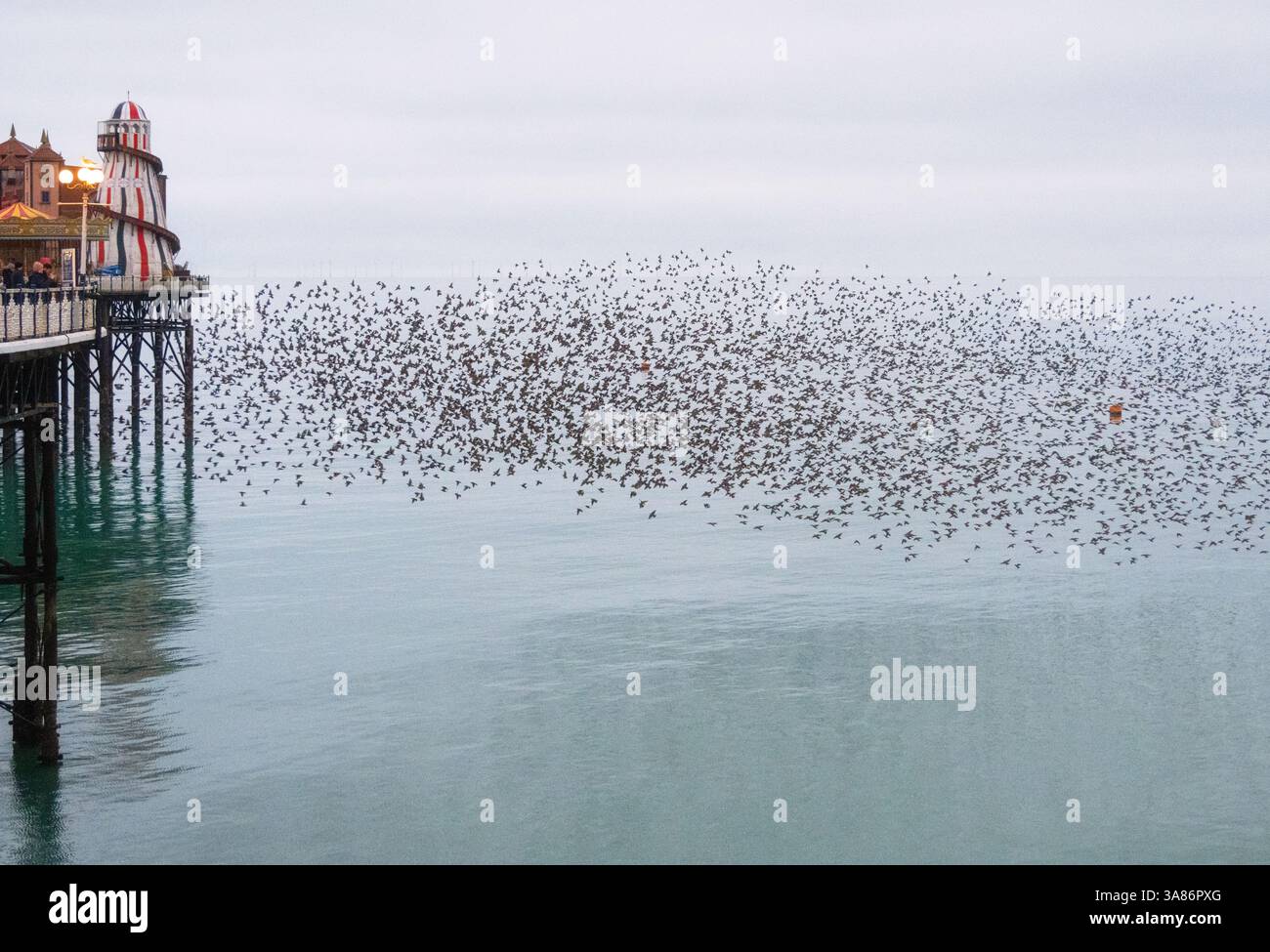 Murmure de Starling au coucher du soleil à côté de la jetée du palais de Brighton, ville de Brighton et Hove, East Sussex, Angleterre, Royaume-Uni Banque D'Images