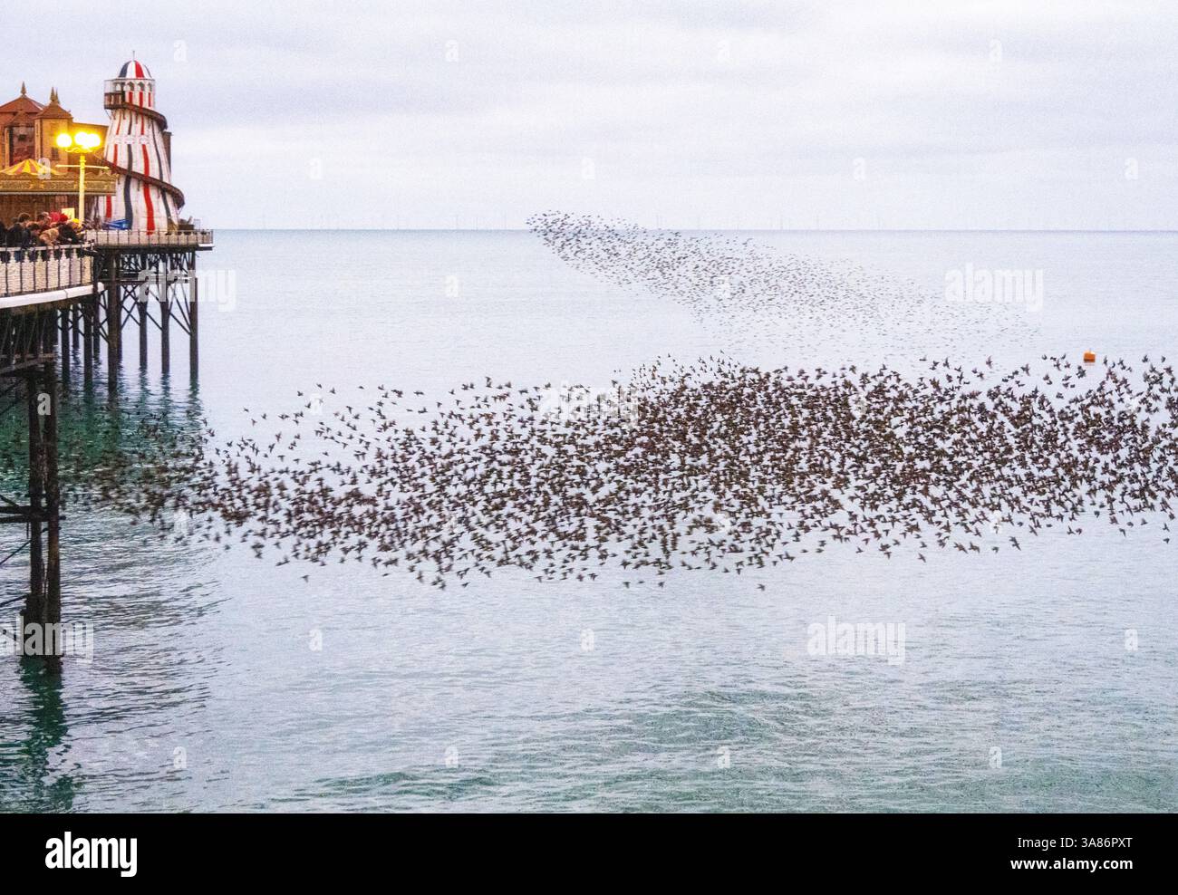 Murmure de Starling au coucher du soleil à côté de la jetée du palais de Brighton, ville de Brighton et Hove, East Sussex, Angleterre, Royaume-Uni Banque D'Images