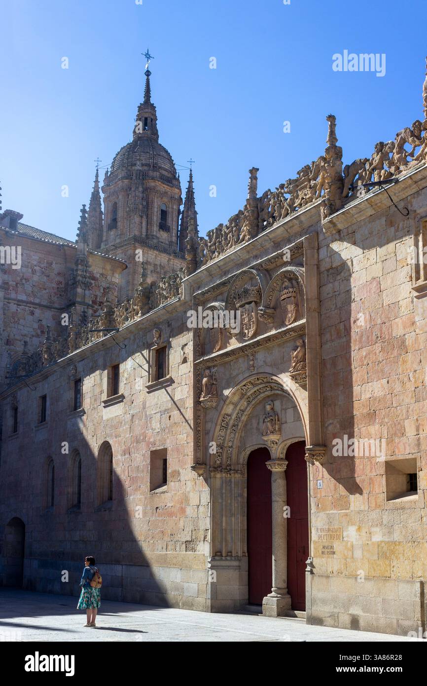Salamanque, Castille et Leon, Espagne Banque D'Images