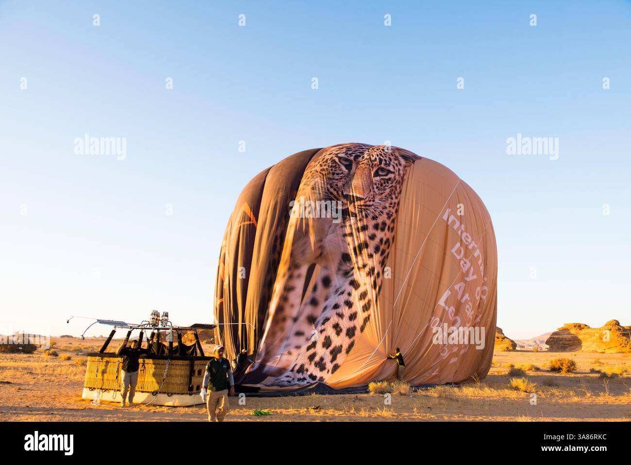 Dégonflage du ballon après le vol en montgolfière au-dessus du site de Hegra et autour avec Hero Balloon Flights Saudi Operator, Arabie Saoudite Banque D'Images
