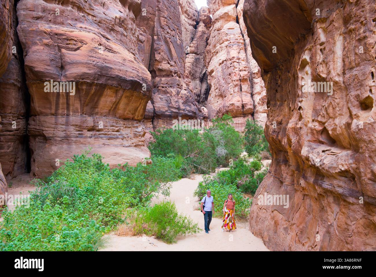 Deux personnes marchant au fond d'un canyon avec des murs de grès dans la réserve naturelle de Sharaan, Alula, province de Médine, Arabie Saoudite Banque D'Images