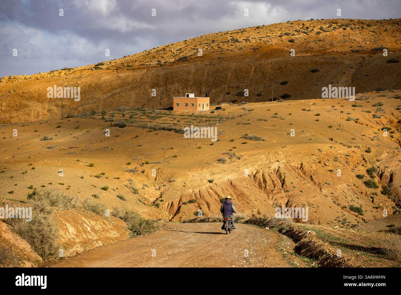 Paysage semi-aride près de Tazert, province d'Al Haouz, Maroc Banque D'Images