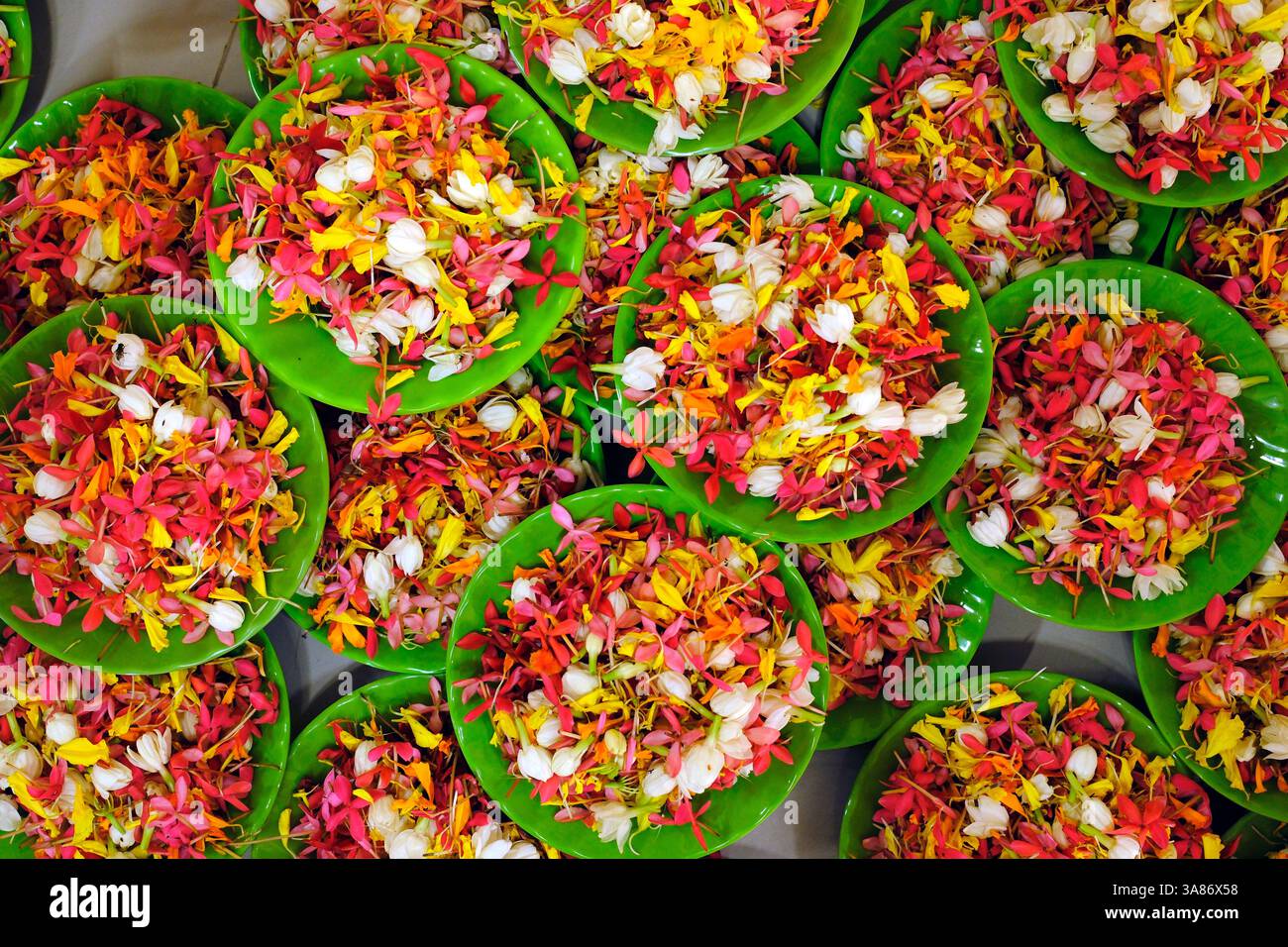 Pagode bouddhiste Thien Quang, pétales de fleurs pour la célébration du Vesak, Tan Chau, Vietnam Banque D'Images
