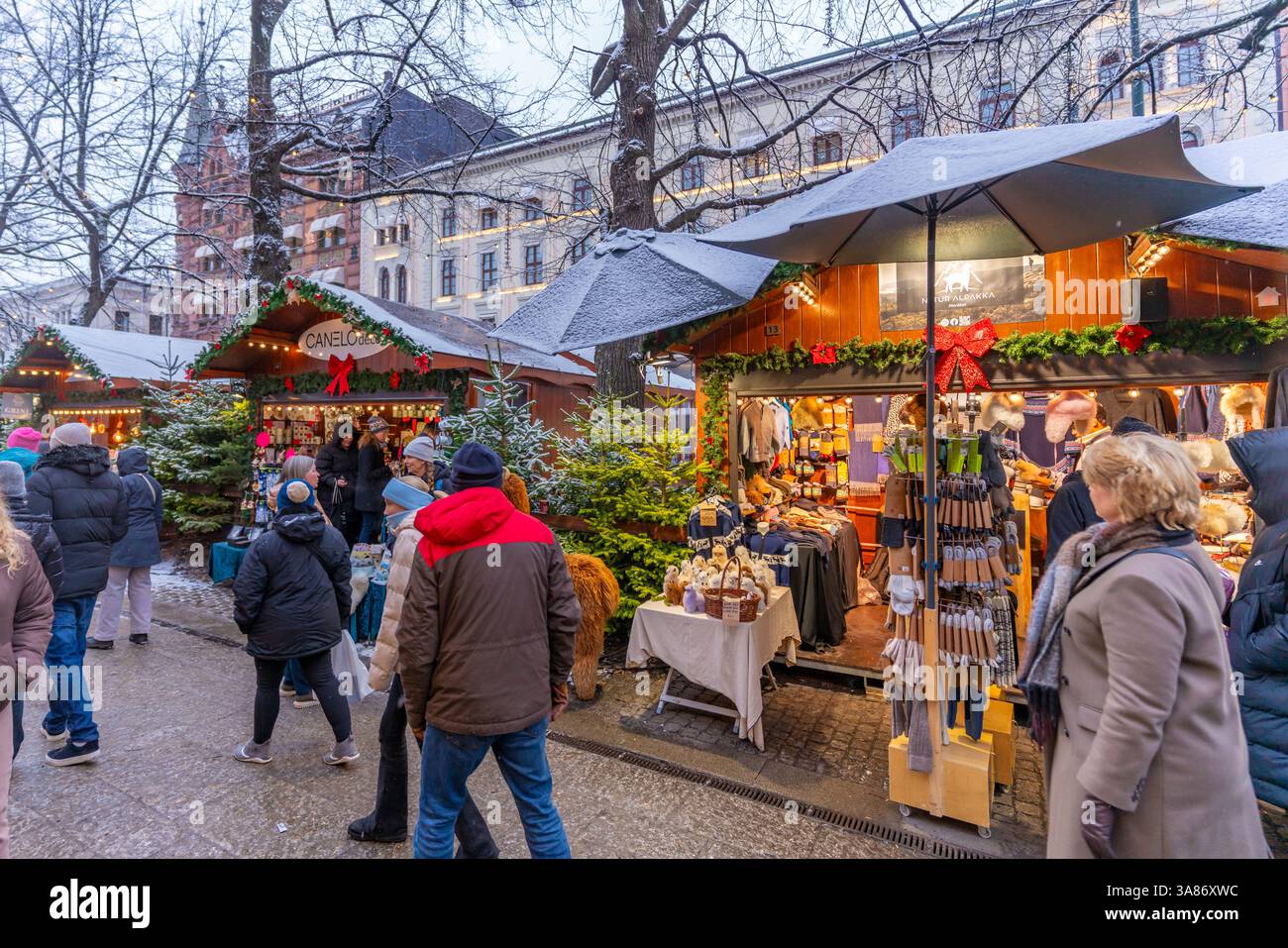 Vue du marché de Noël pendant l'hiver au crépuscule, Stortingsparken, Oslo, Norvège, Scandinavie Banque D'Images