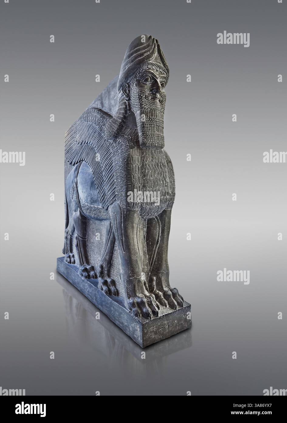 Sculpture de gypse assyrien d'un lion ailé à tête humaine moulé en plâtre. 865-860 av. J.-C., Nimrud North West Palace, original au British Museum inv no 118 Banque D'Images