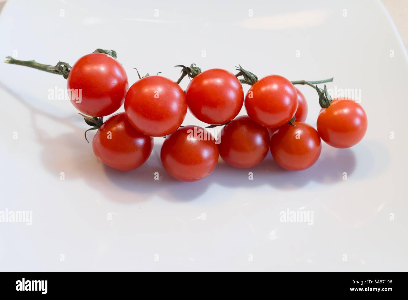 bouquet de tomates cerises sur une vigne Banque D'Images