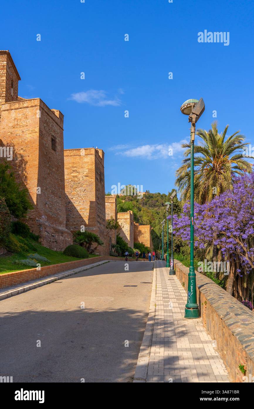 L'Alcazaba, Malaga, Andalousie, Espagne Banque D'Images